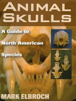 cover image of Animal Skulls